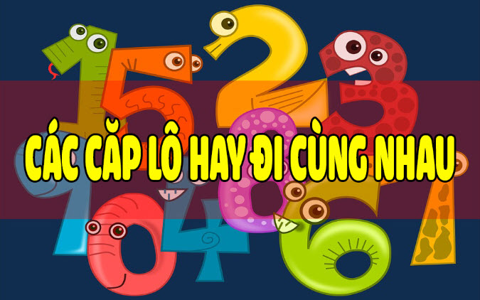 Có những cặp lô VIP thường đi cùng nhau Có những cặp lô VIP thường đi cùng nhau