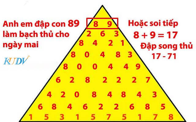 cach-bat-tong-de-7 hướng dẫn cách bắt tổng đề